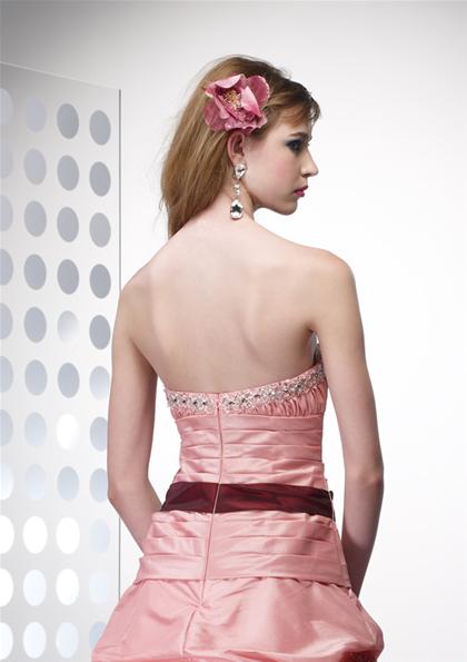 2011 Prom Gown Alyce 6576